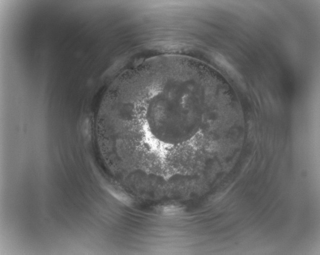 X0000069360165200605121126