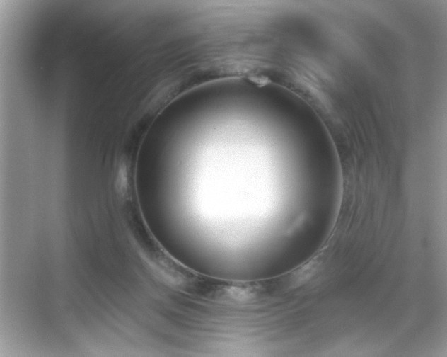 X0000069360166200605121126