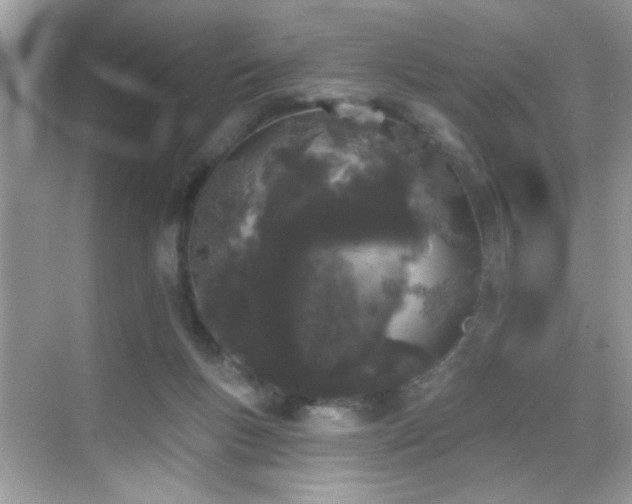 X0000069360167200605121126