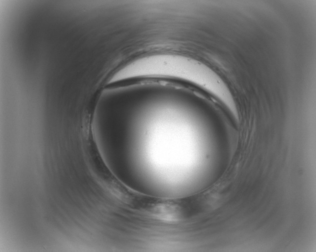 X0000069360168200605121126