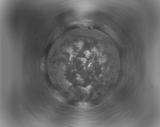 X0000069360169200605121126