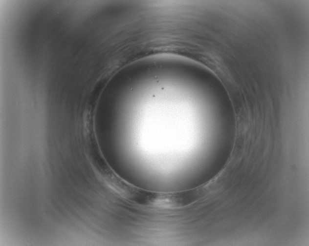 X0000069360171200605121126