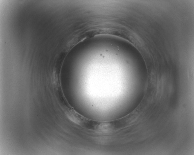 X0000069360173200605121126