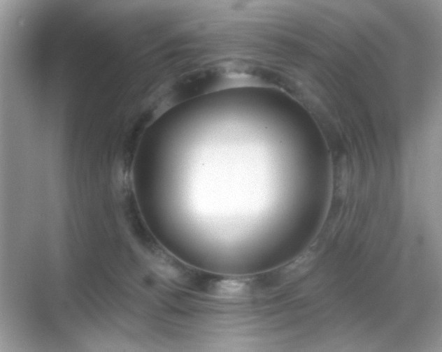 X0000069360176200605121126