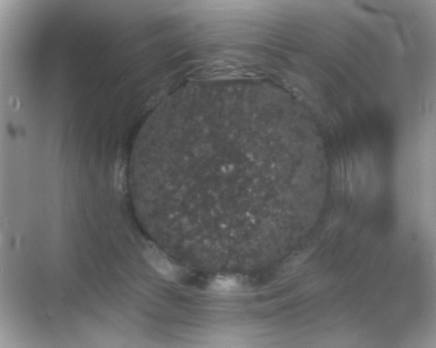 X0000069360177200605121126