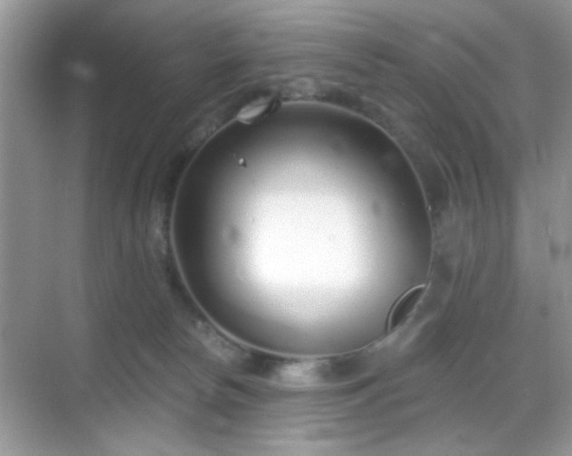 X0000069360178200605121126