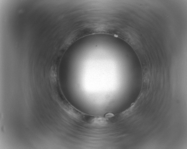 X0000069360179200605121126