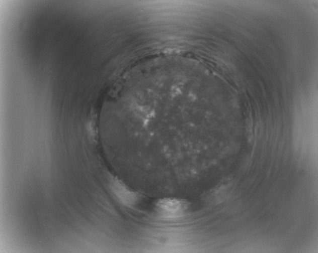 X0000069360181200605121126