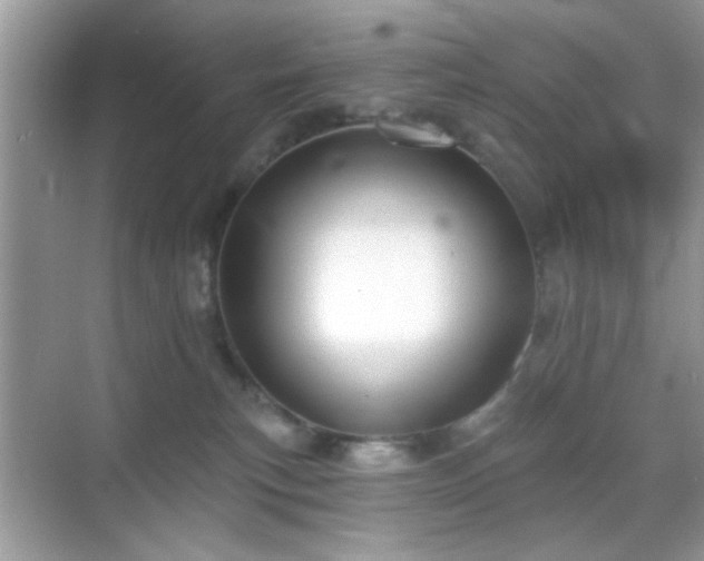 X0000069360183200605121126