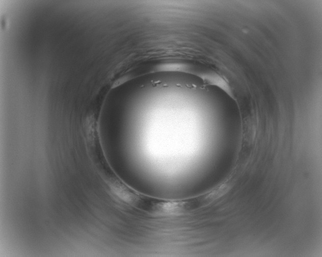 X0000069360184200605121126