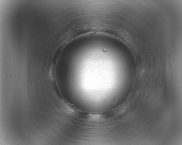 X0000069360185200605121126