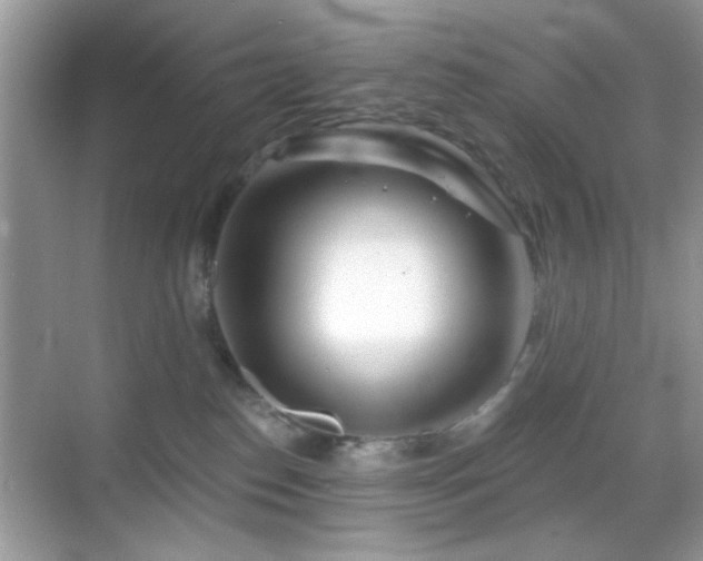 X0000069360186200605121126