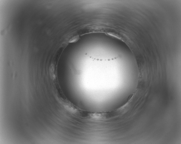 X0000069360187200605121126