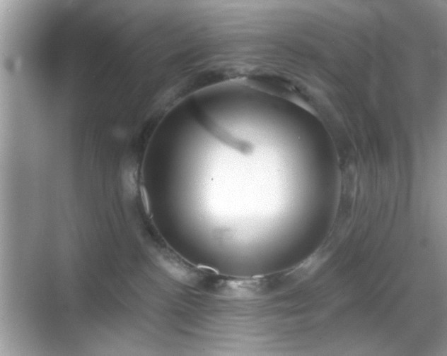 X0000069360188200605121126