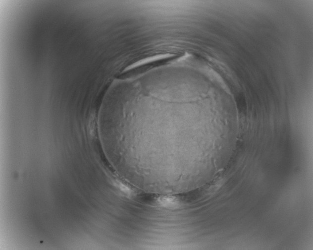 X0000069360189200605121126