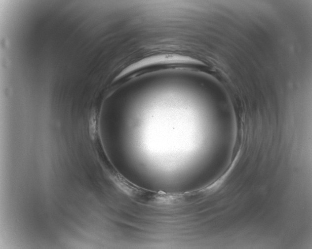 X0000069360190200605121126