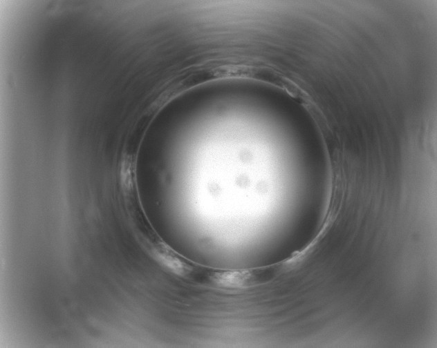 X0000069360191200605121126