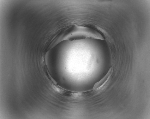 X0000069360192200605121126