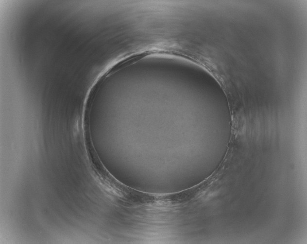 X0000069360196200605121125