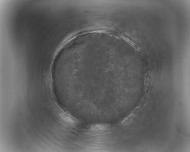 X0000069360198200605121125