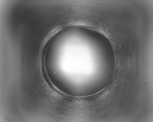 X0000069360199200605121125