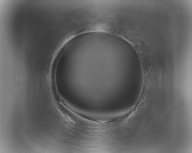 X0000069360200200605121125