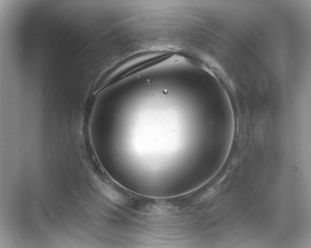 X0000069360201200605121125