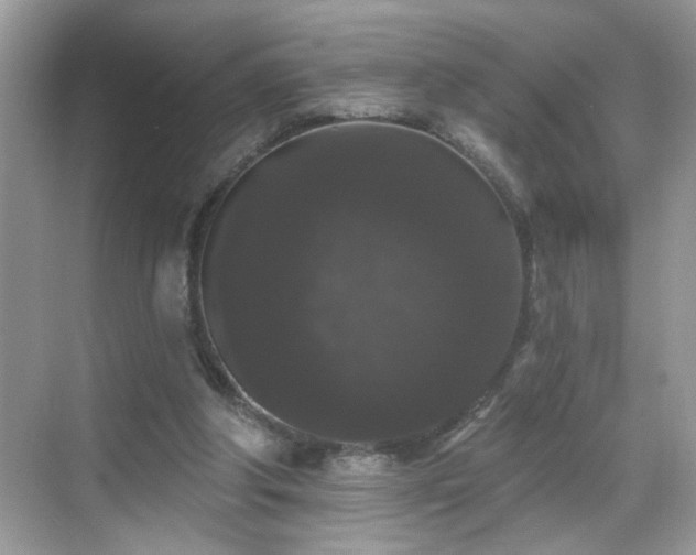 X0000069360202200605121125