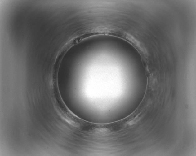 X0000069360203200605121125