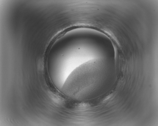 X0000069360204200605121125