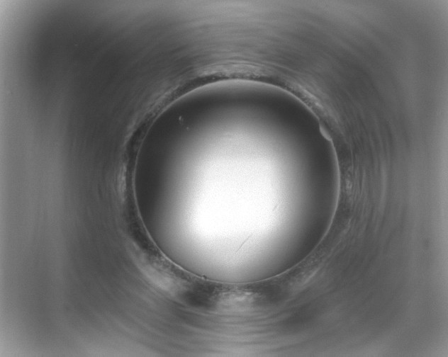 X0000069360206200605121125