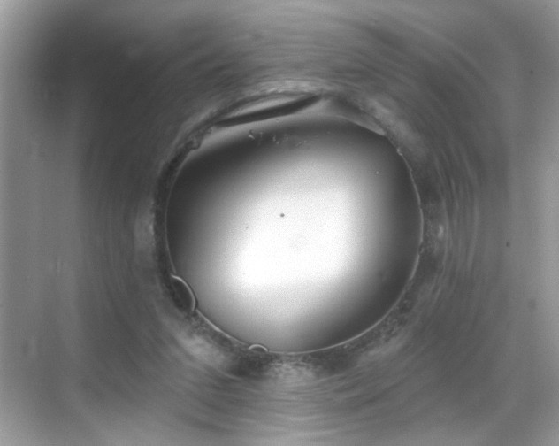 X0000069360207200605121125