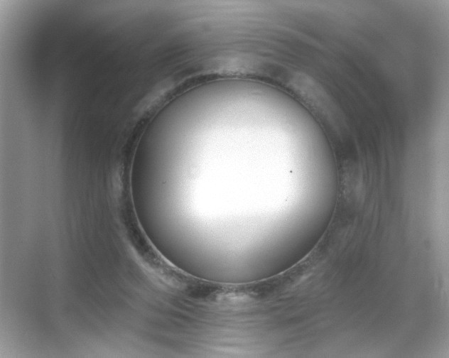 X0000069360208200605121125