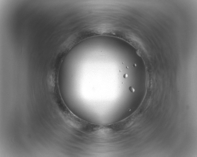 X0000069360210200605121125