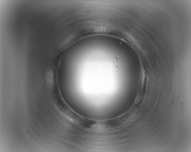 X0000069360211200605121125