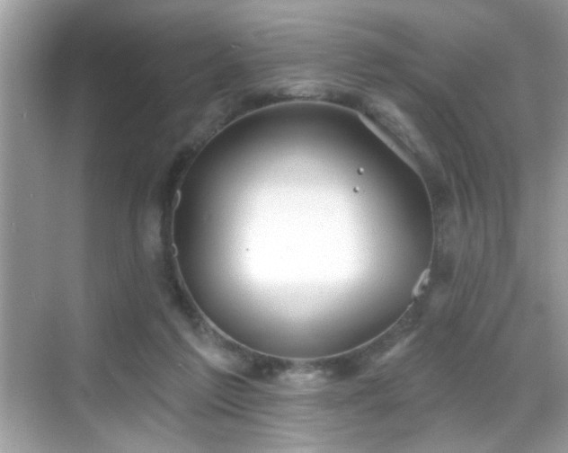 X0000069360213200605121125