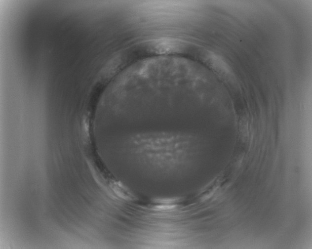 X0000069360214200605121125