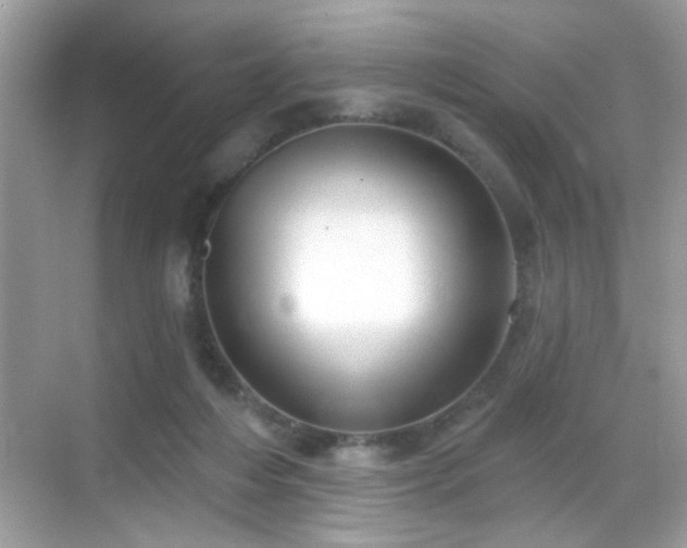 X0000069360216200605121125