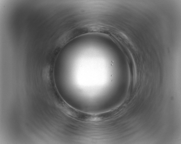 X0000069360217200605121125