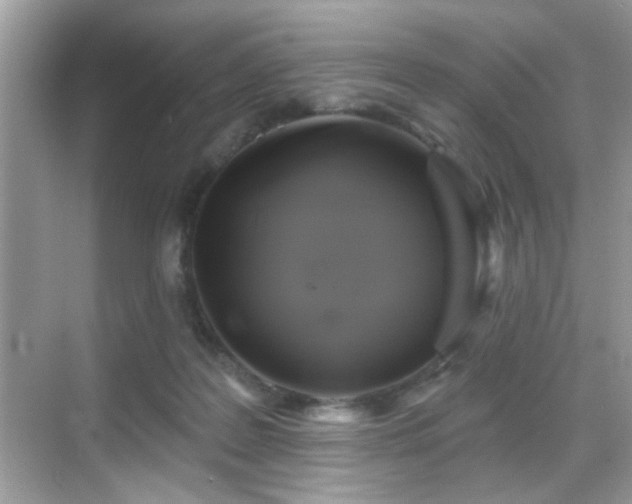 X0000069360219200605121125