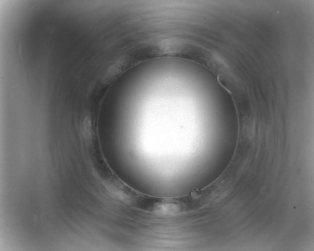 X0000069360220200605121125