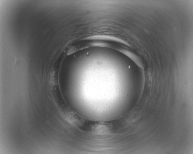 X0000069360224200605121125