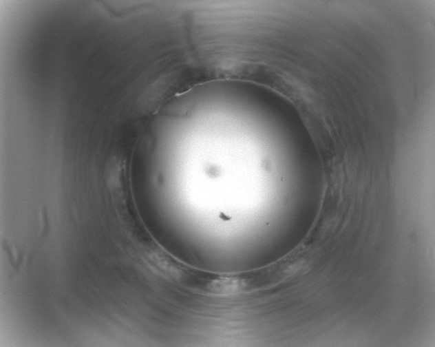 X0000069360225200605121125