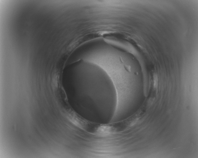 X0000069360227200605121125