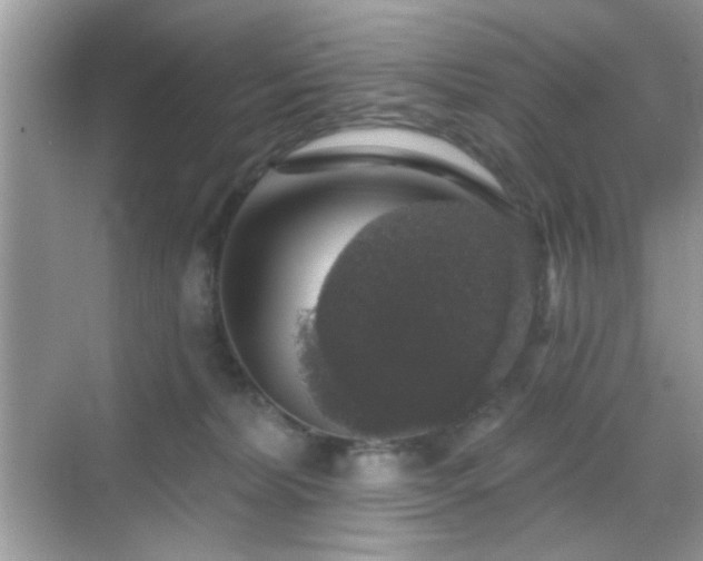 X0000069360228200605121125