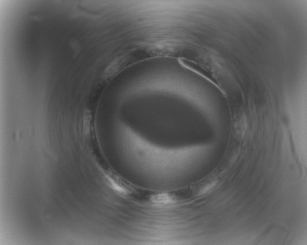 X0000069360231200605121125