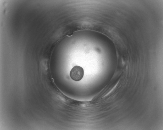 X0000069360232200605121125