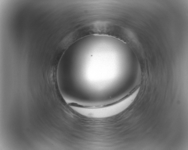 X0000069360233200605121125