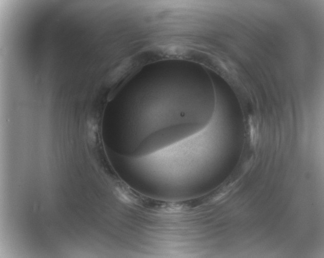 X0000069360235200605121125