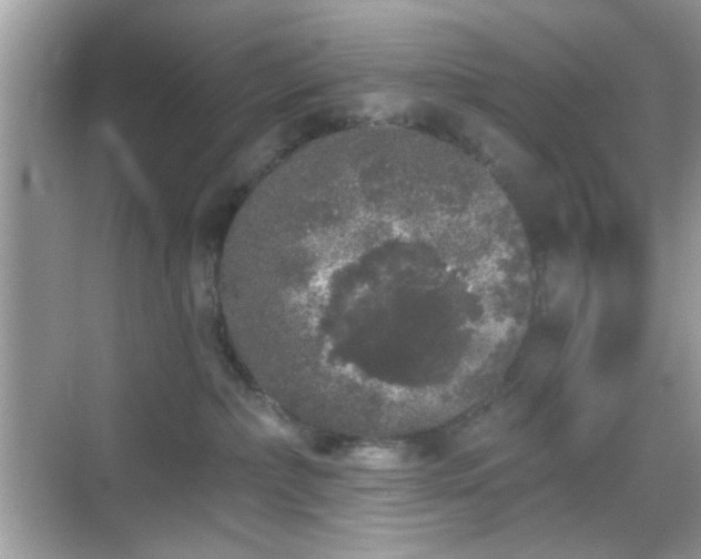 X0000069360236200605121125